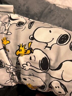 Peanuts Gray Plush Small Pet Bed with Snoopy & Woodstock Print